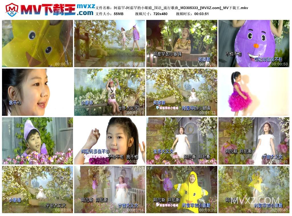 阿茹罕-阿茹罕的小眼睛_国语_流行歌曲_MD305333